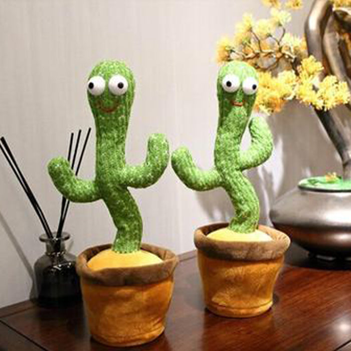 Cactus Vorbitor Si Dansator