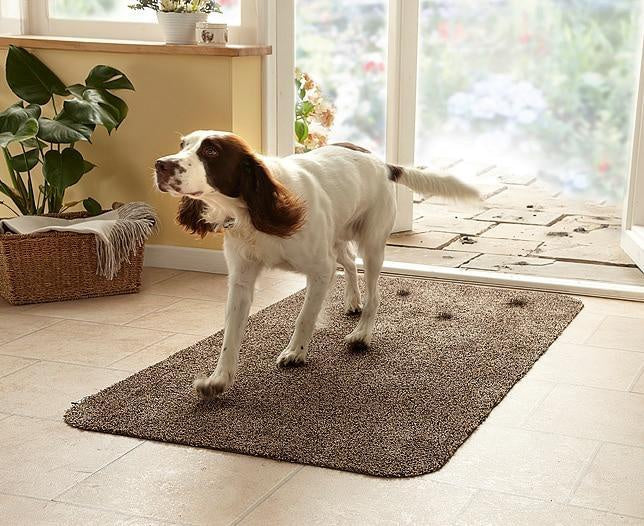 Covoras intrare absorbant antimurdarie Magic Mat - 69 x 45 cm